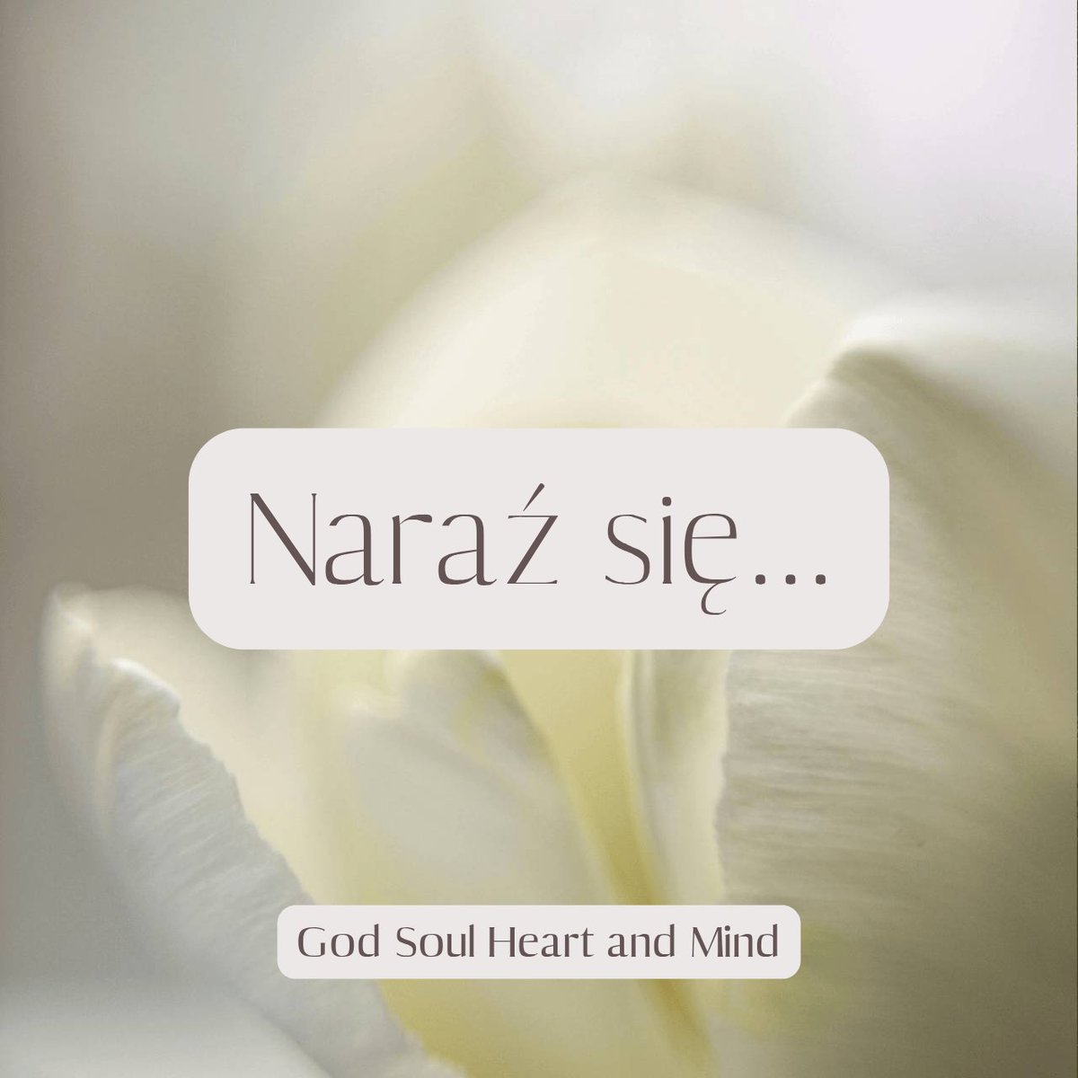 Klara_Sadurska's tweet image. 🪷

#expose #naraźsię #openup #trust