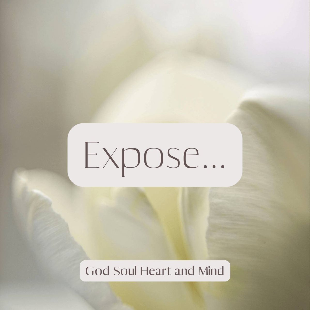 Klara_Sadurska's tweet image. 🪷

#expose #naraźsię #openup #trust