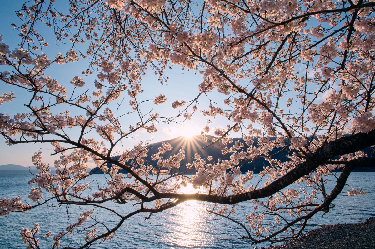 琵琶湖写真家 辻田 新也 tweet media