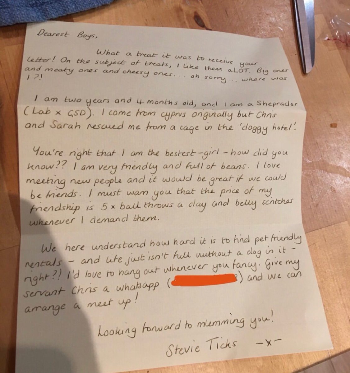 Dudes Posting Their W’s tweet media