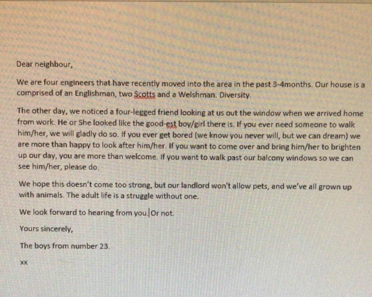 Dudes Posting Their W’s tweet media