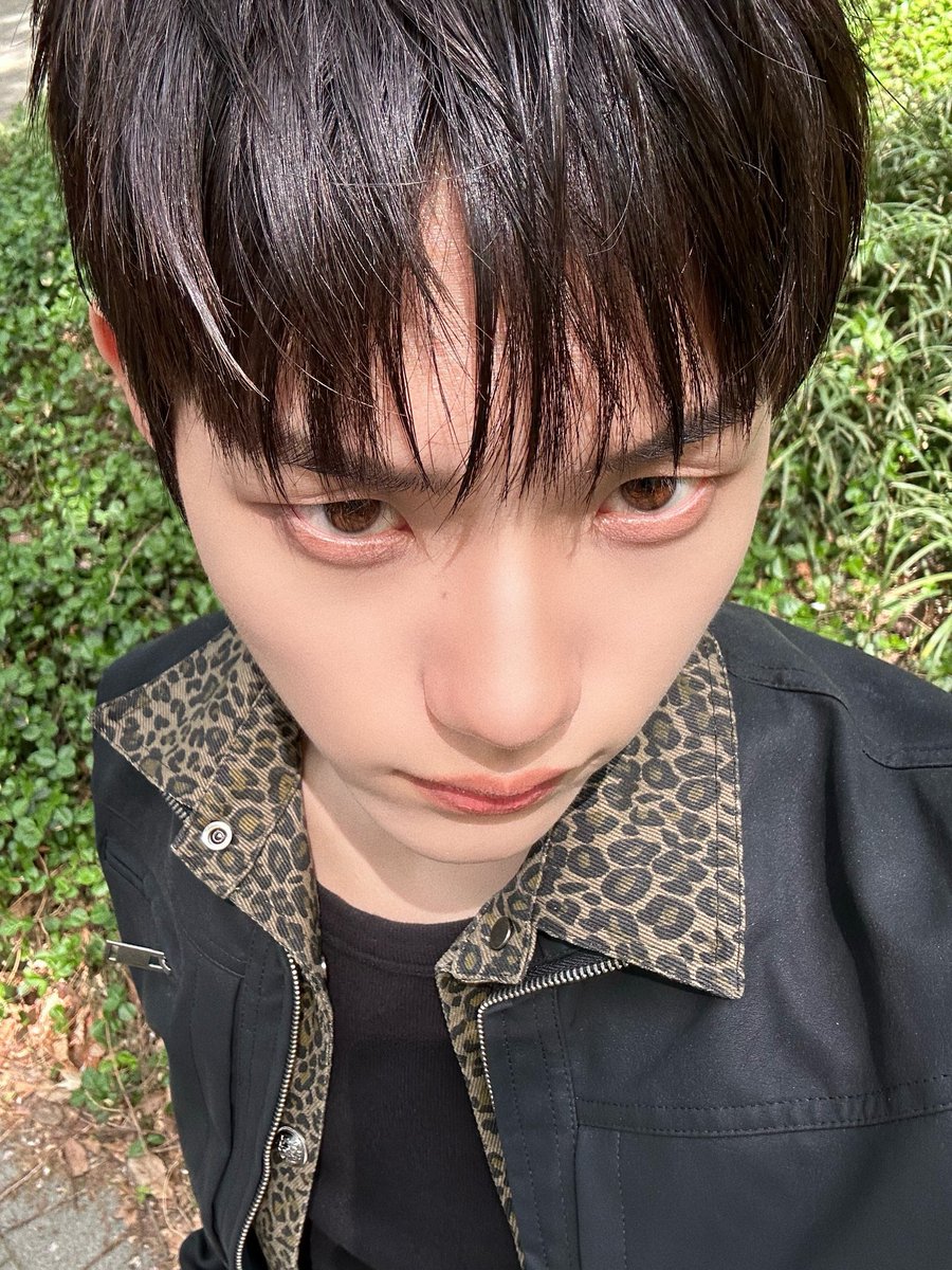 햄스터 서경배 tweet media