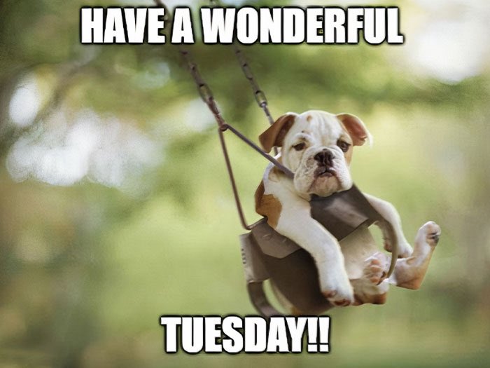 RedAlways tweet media