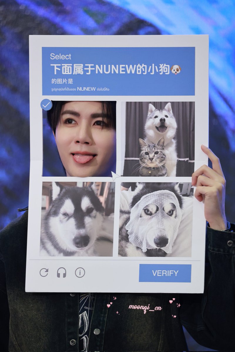 moonqi_cn tweet media