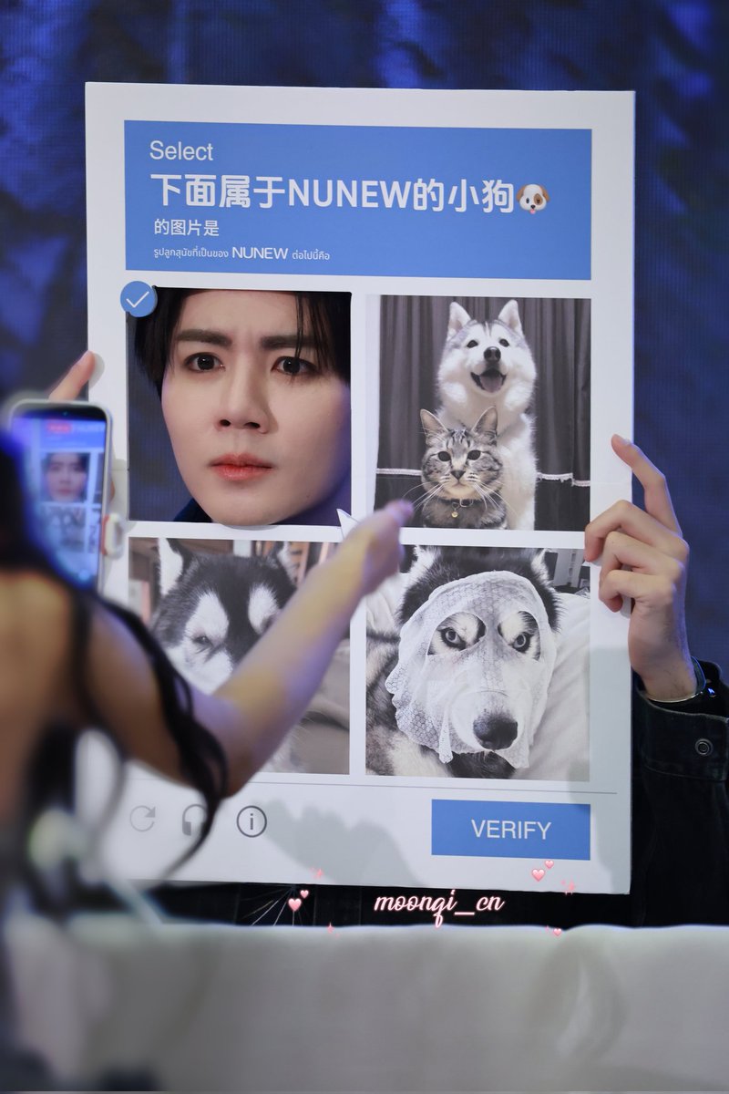 moonqi_cn tweet media