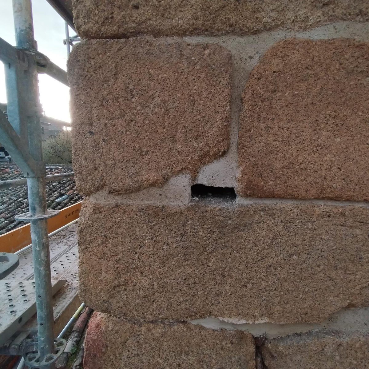 SOS Vencejos tweet media