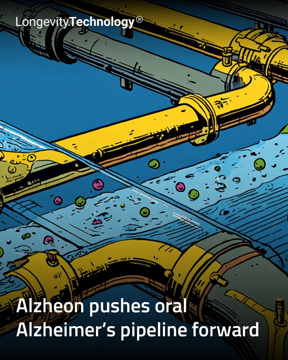 LongevityTech's tweet image. Oral Alzheimer’s pipeline advances as biotech pushes for scalable, disease-modifying treatments beyond infusions.
ㅤ
Link in bio.
ㅤ
#longevity #alzheimers #biotech #healthspan #innovation
