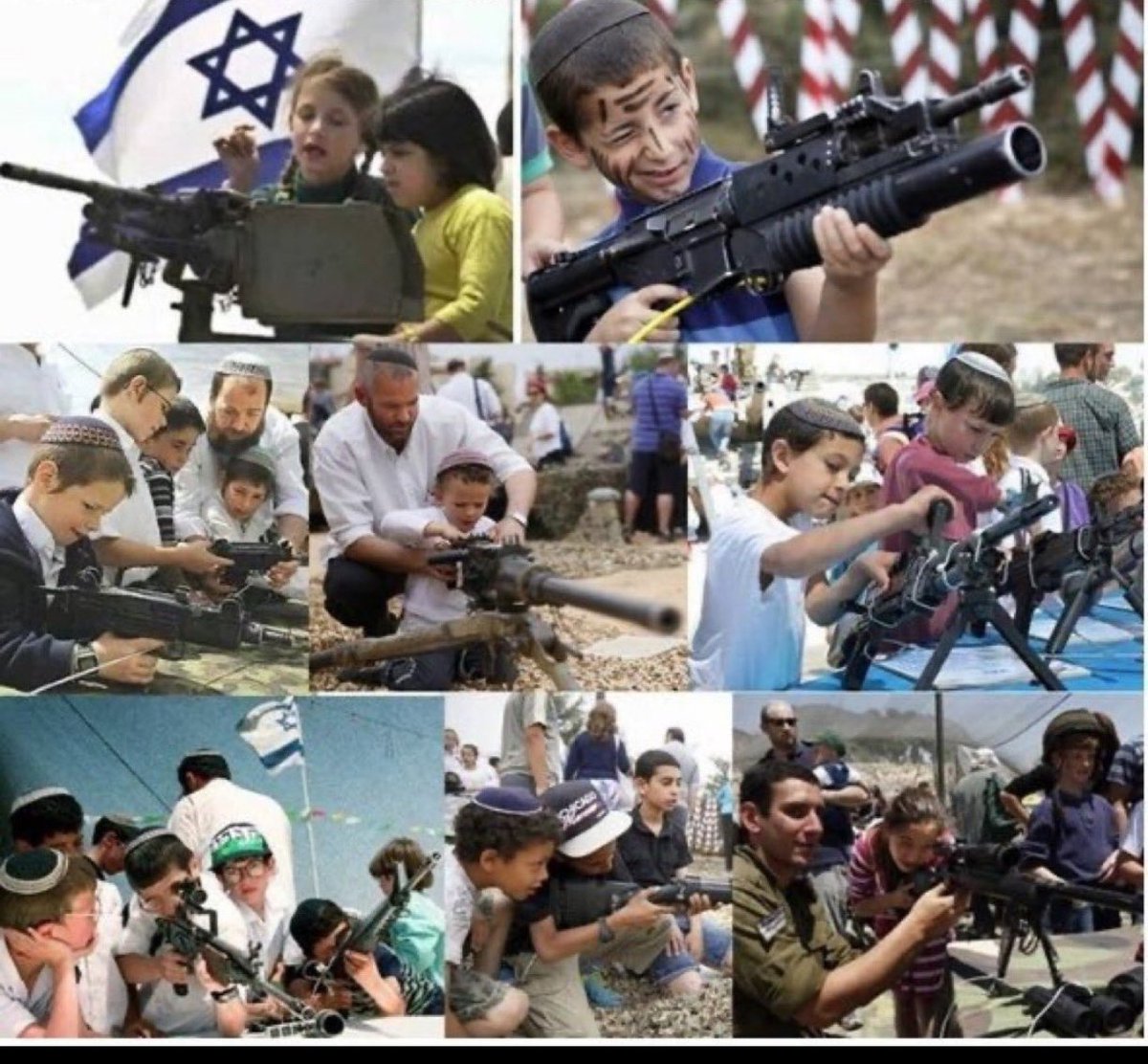 Rayan Al Sharari📚☪️🇸🇦 tweet media