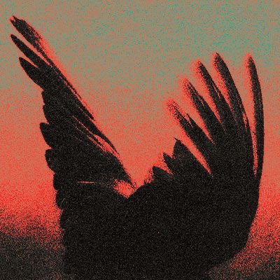 Ardıç Kuşu tweet media