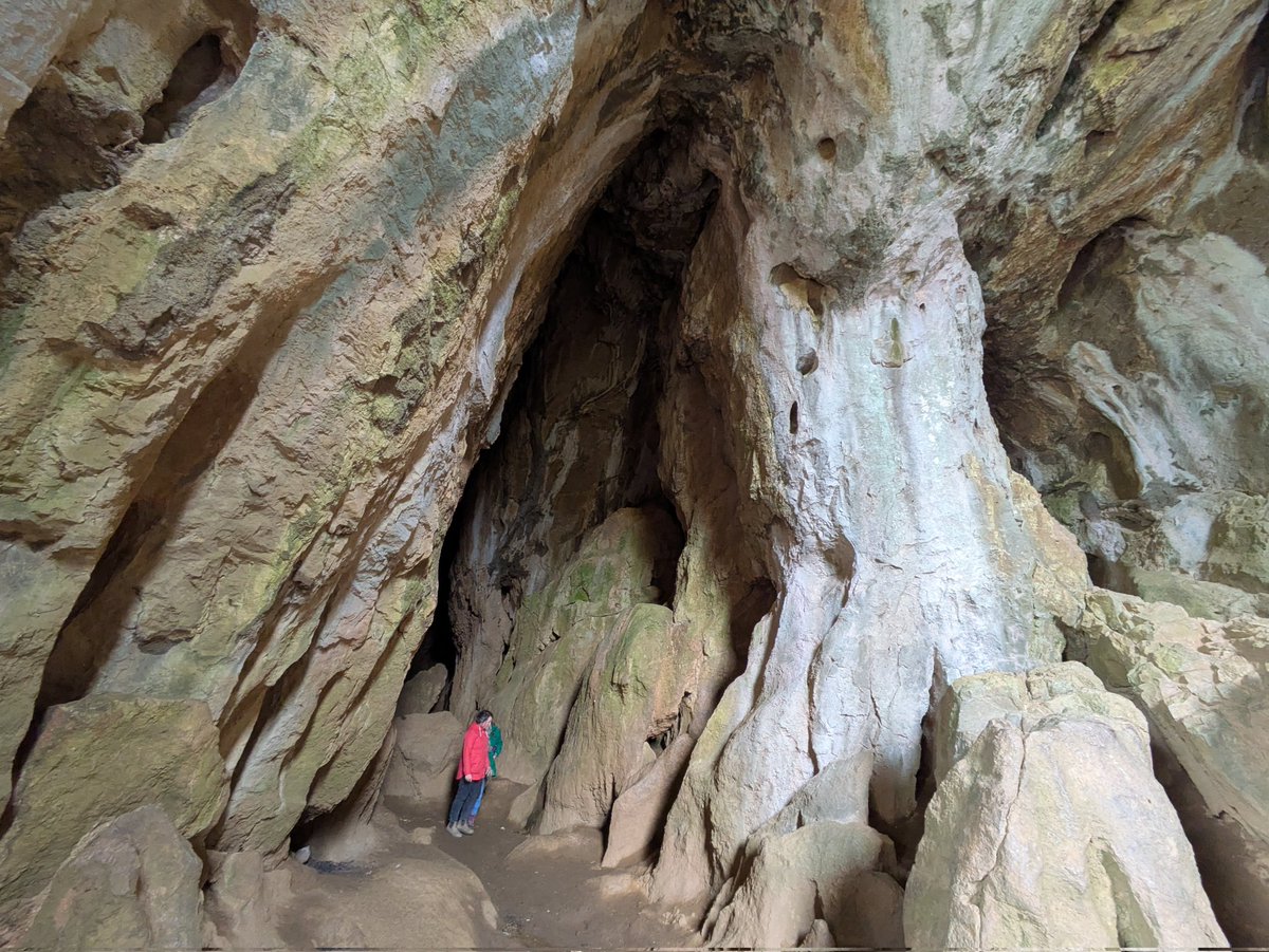 Martin Gathercole🐦X🐦 tweet media