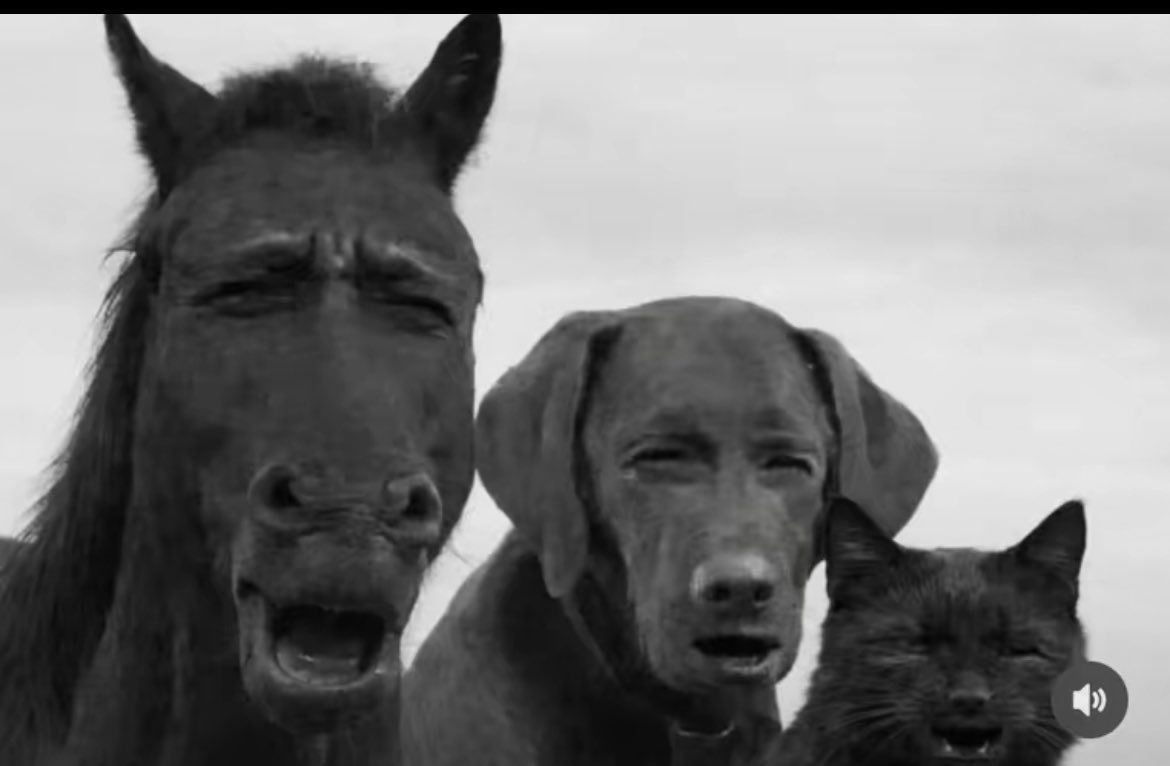 Neji huyga © tweet media