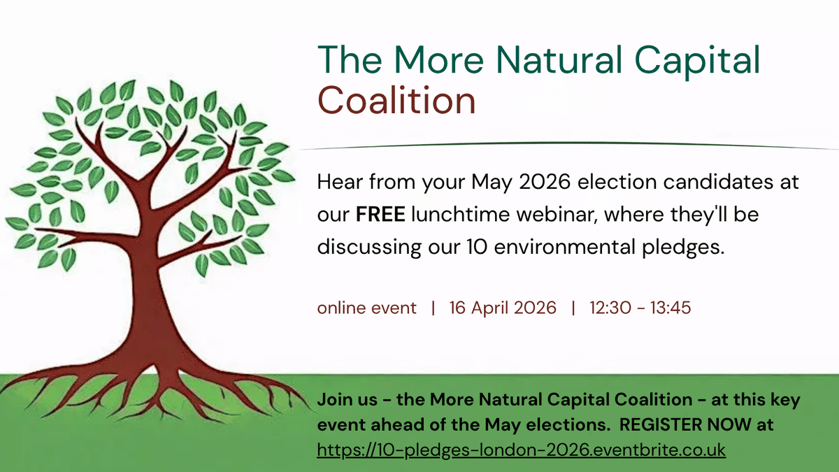 Bridget Fox tweet media