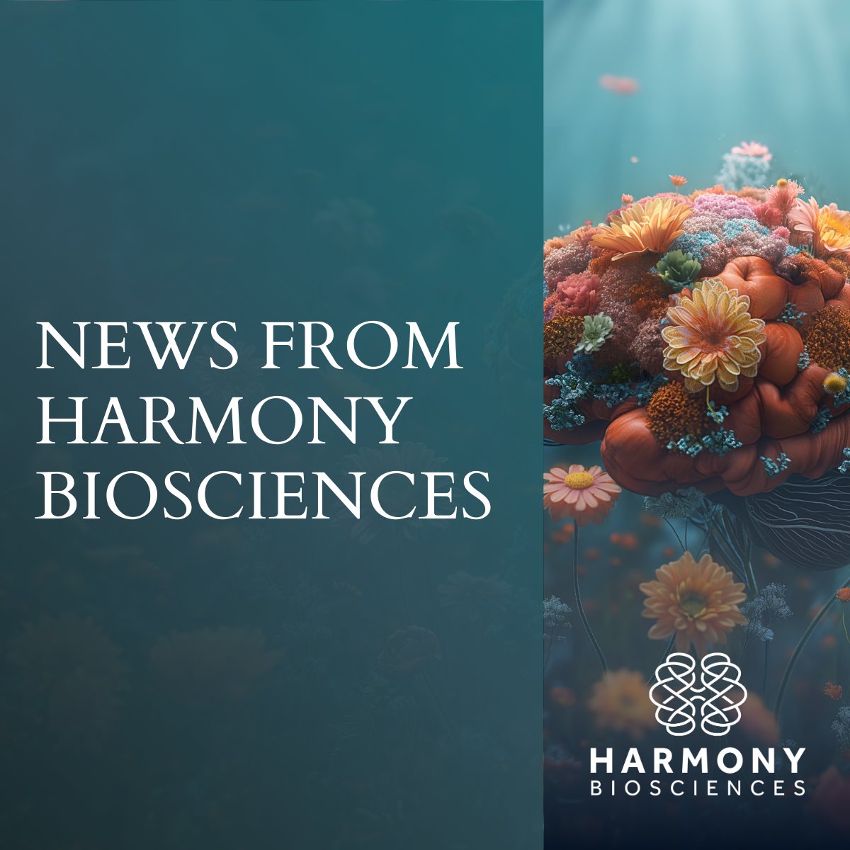 HarmonyBio's tweet photo. Earlier today, we announced the appointment of Glenn Reicin as Chief Financial Officer, effective today, supporting Harmony’s continued focus on strategic growth, financial strength, and long‑term value creation. This appointment reflects our continued focus on bringing innovative treatments to patients who have unmet medical needs and creating even greater value for our shareholders. Read more: https://t.co/QNSah2VIMT

#Biosciences
#LifeSciences
#Neurology
#Neurosciences
#Biotech
#InvestorRelations
#IR