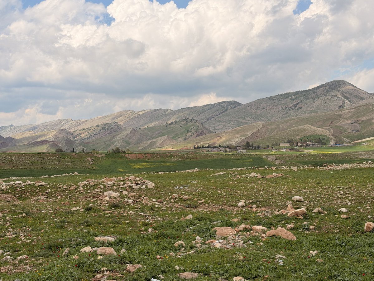 HooverLinnea's tweet image. Traveling through the Kurdish region of Iraq for @NWS_Network, and had to stop and smell the — roses? *not sure what flower this is…* 

Sometimes, we just need to take a beat to enjoy where we are, on the way to where we’re going.🌺
.
.
#iraq #journalism