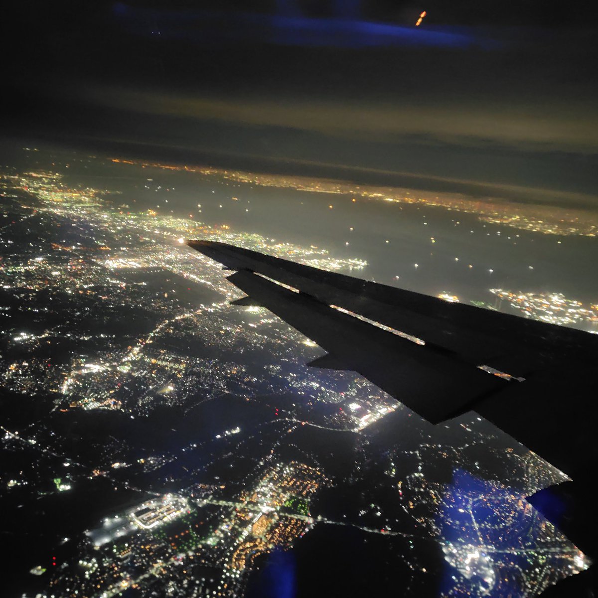 こいさん tweet media