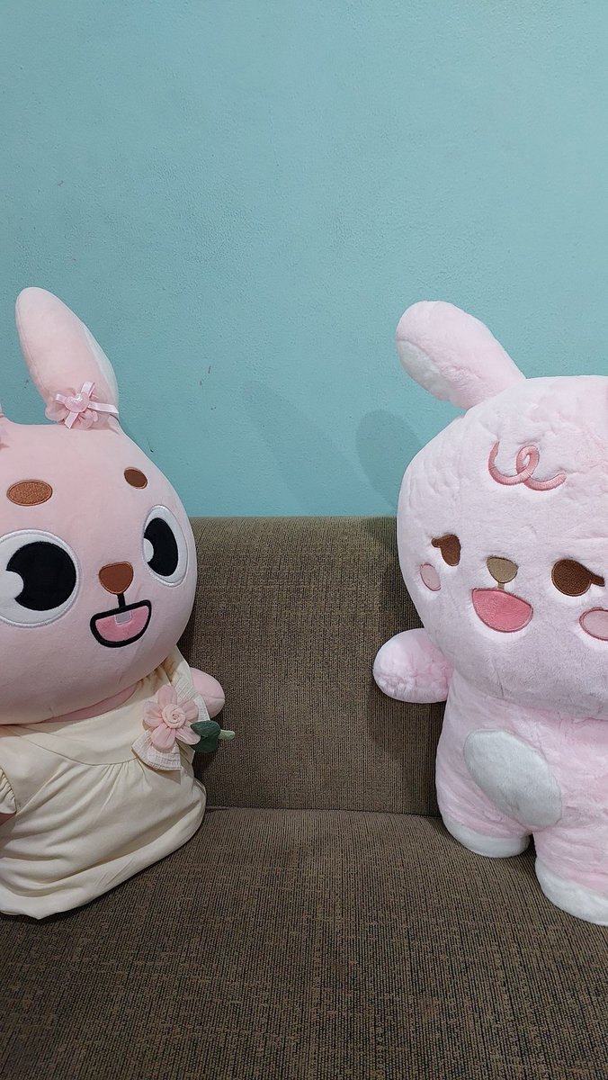 dikna🐰🍀 • Unpiltered • tweet media