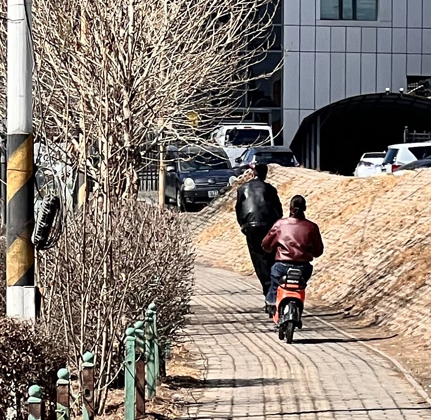 Төмөрбаатарын Очирдарь tweet media