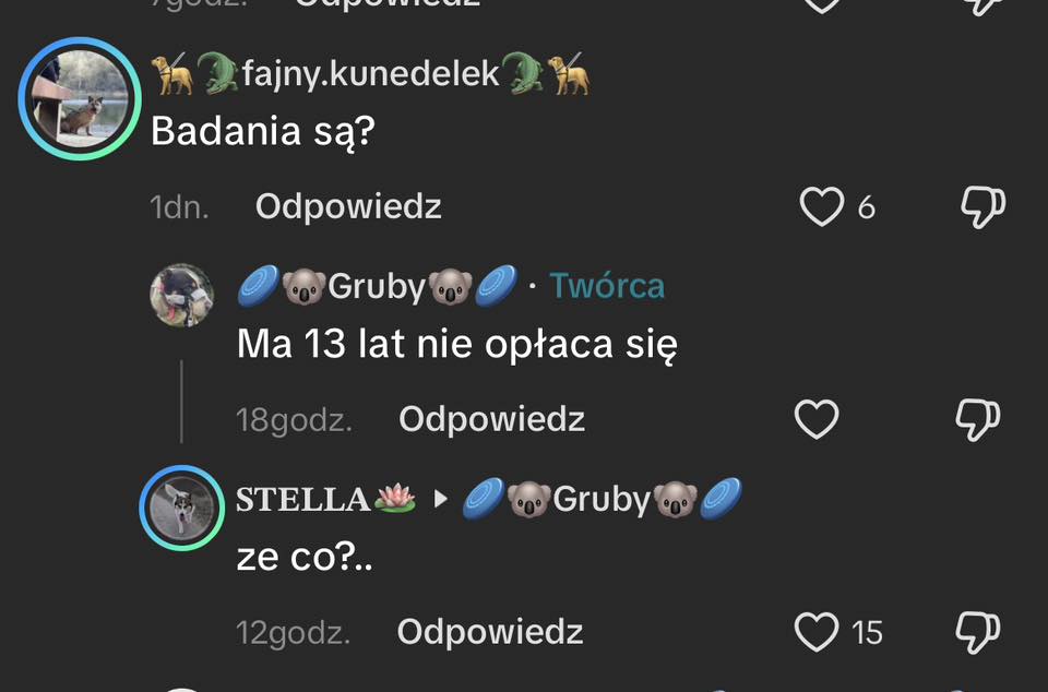 Robwalka Wolf tweet media