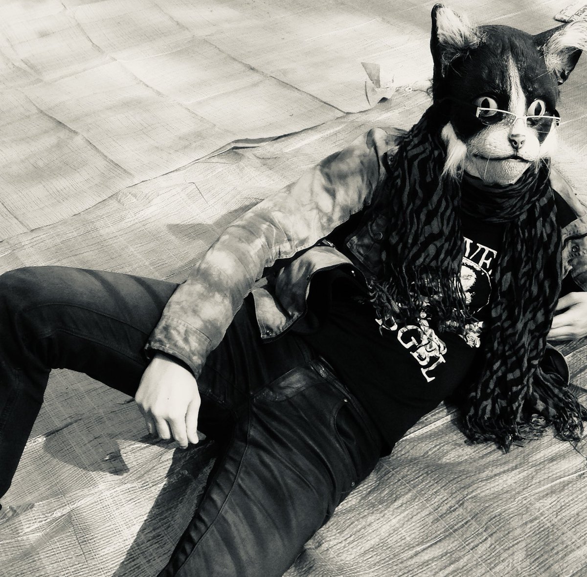 ネコリさん tweet media