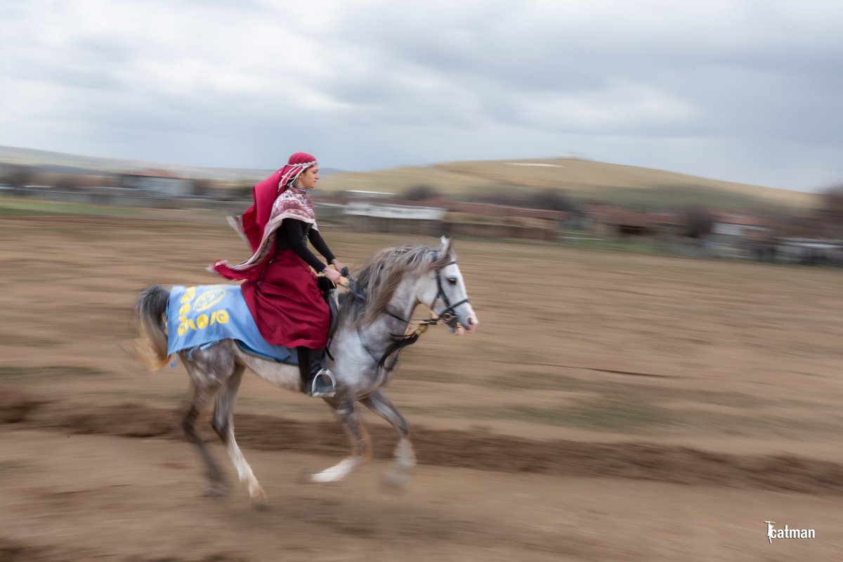 NiğdeFotoSafari tweet media
