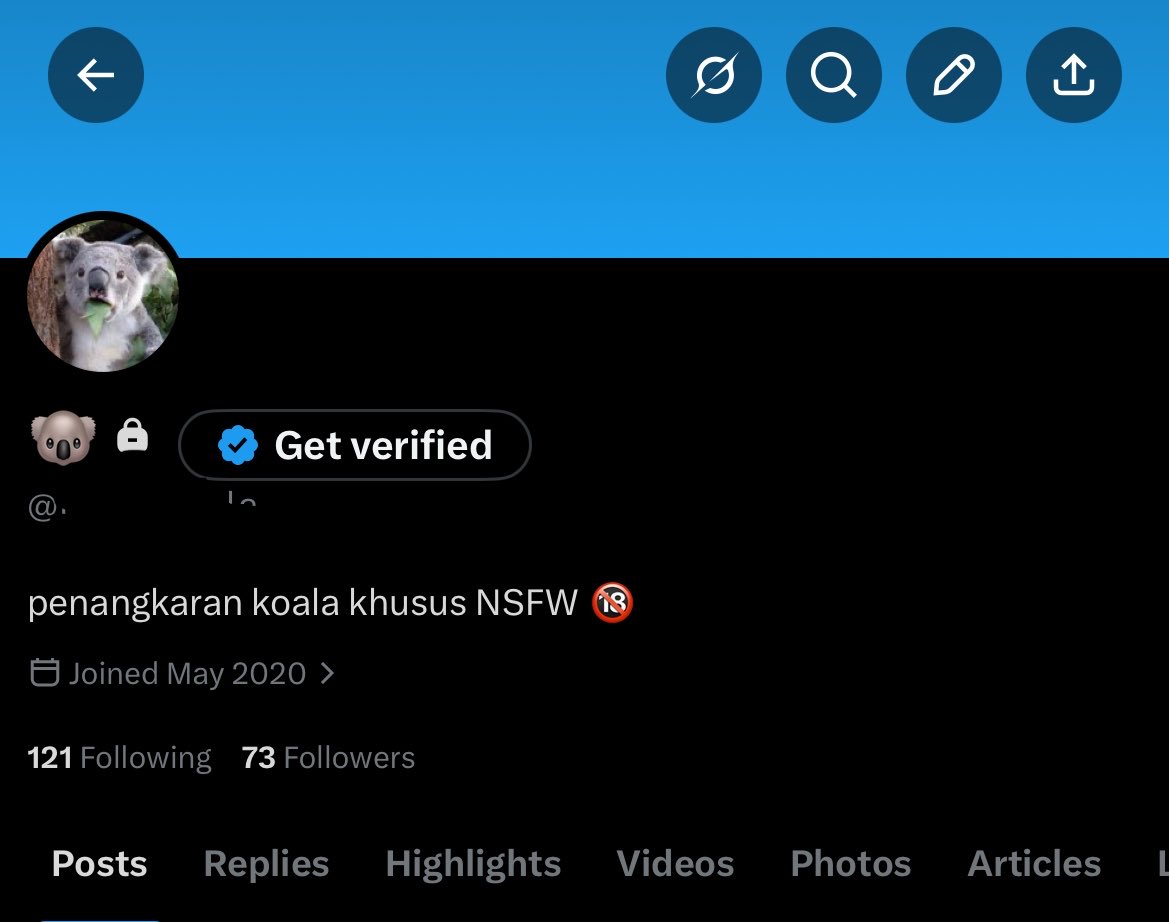 🐨 | DM Limit tweet media