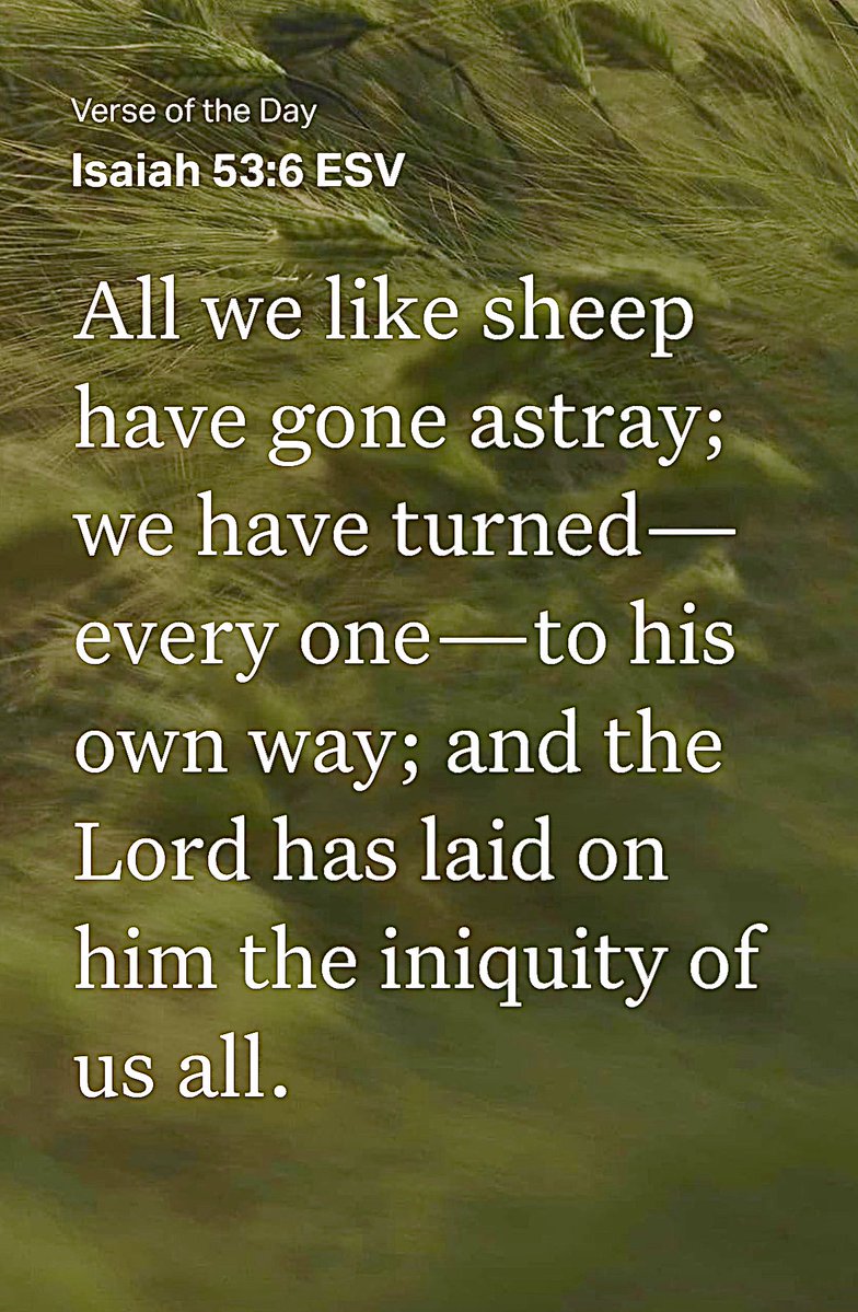 Blane Jarchow tweet media