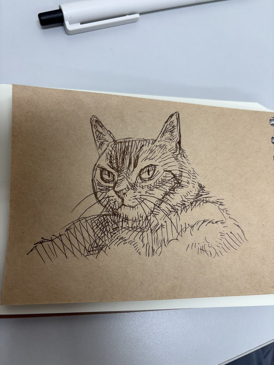 お茶♨️ tweet media