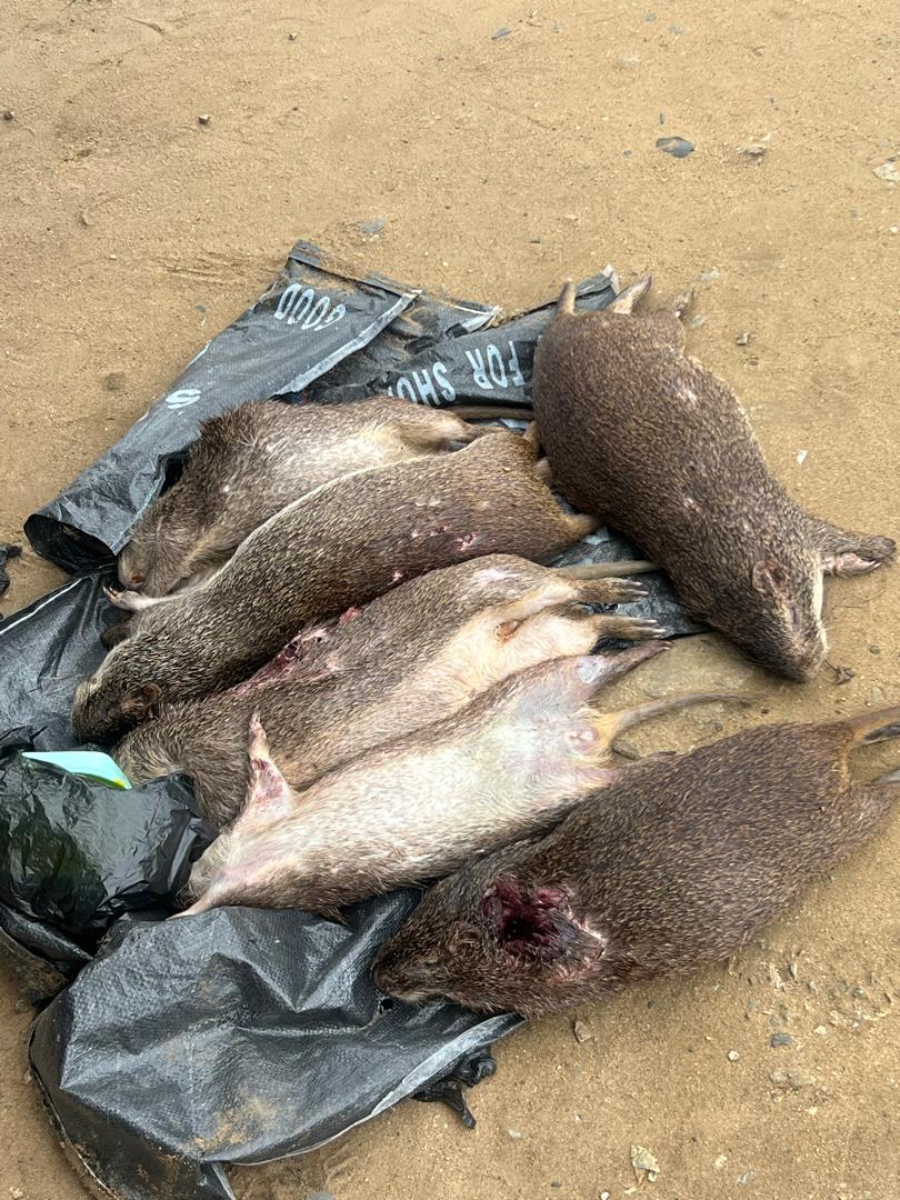 Gina❤️ tweet media