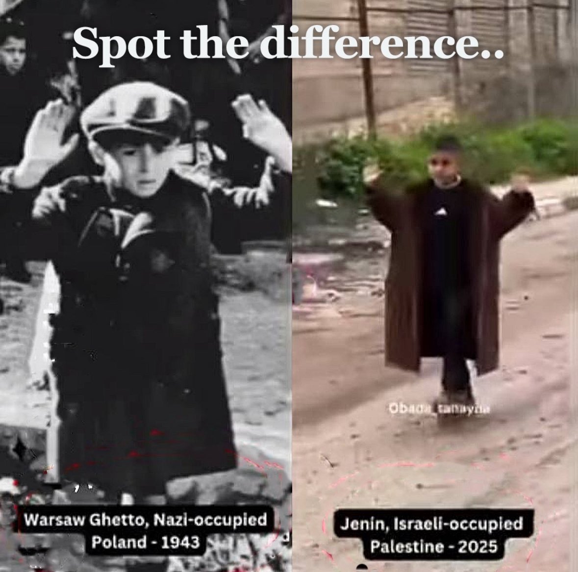 Shoebe19 tweet media