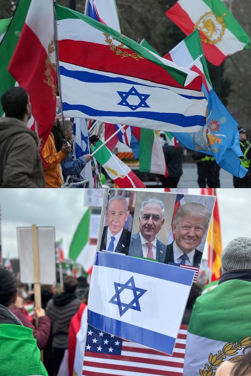 Yalda 🦁🌞 tweet media