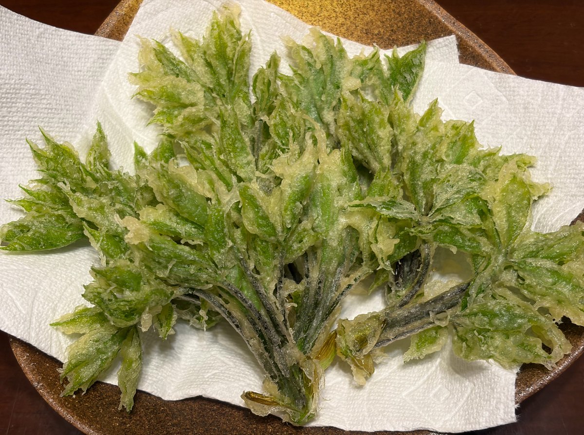 熊五郎157 tweet media