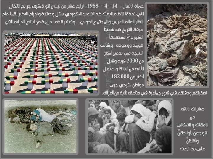 𝑩𝒆𝒘𝒂𝒓 ☀️ tweet media