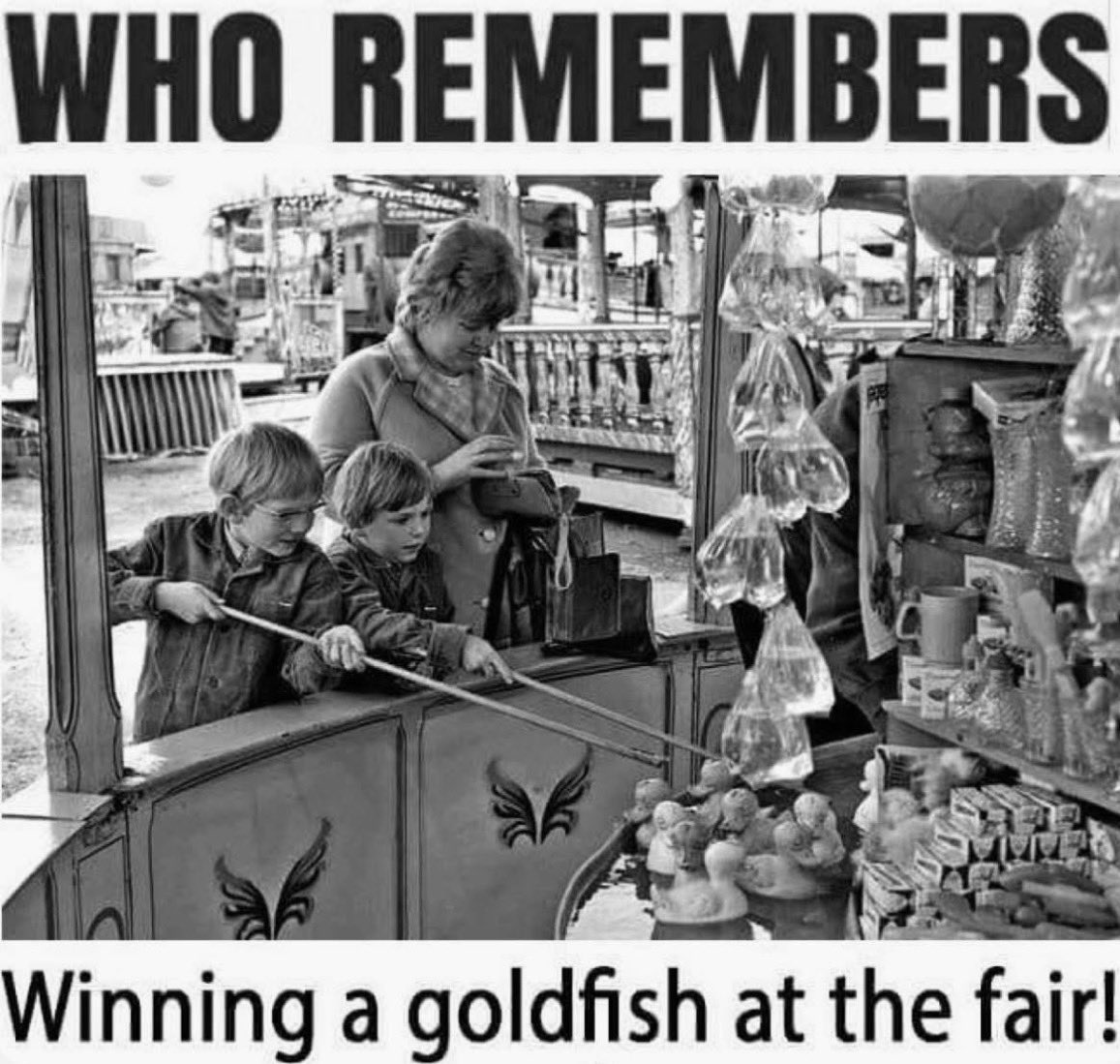 celtic Jaime 🍀 tweet media