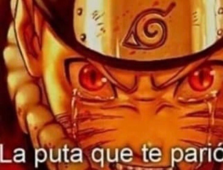 ℜ𝔞𝔮𝔲𝔢l tweet media