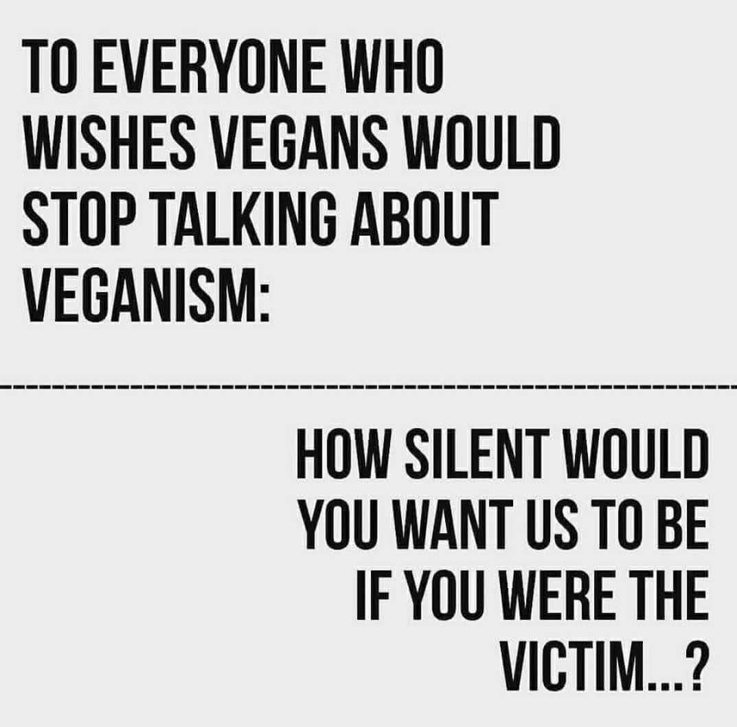 Dervilla(v) tweet media