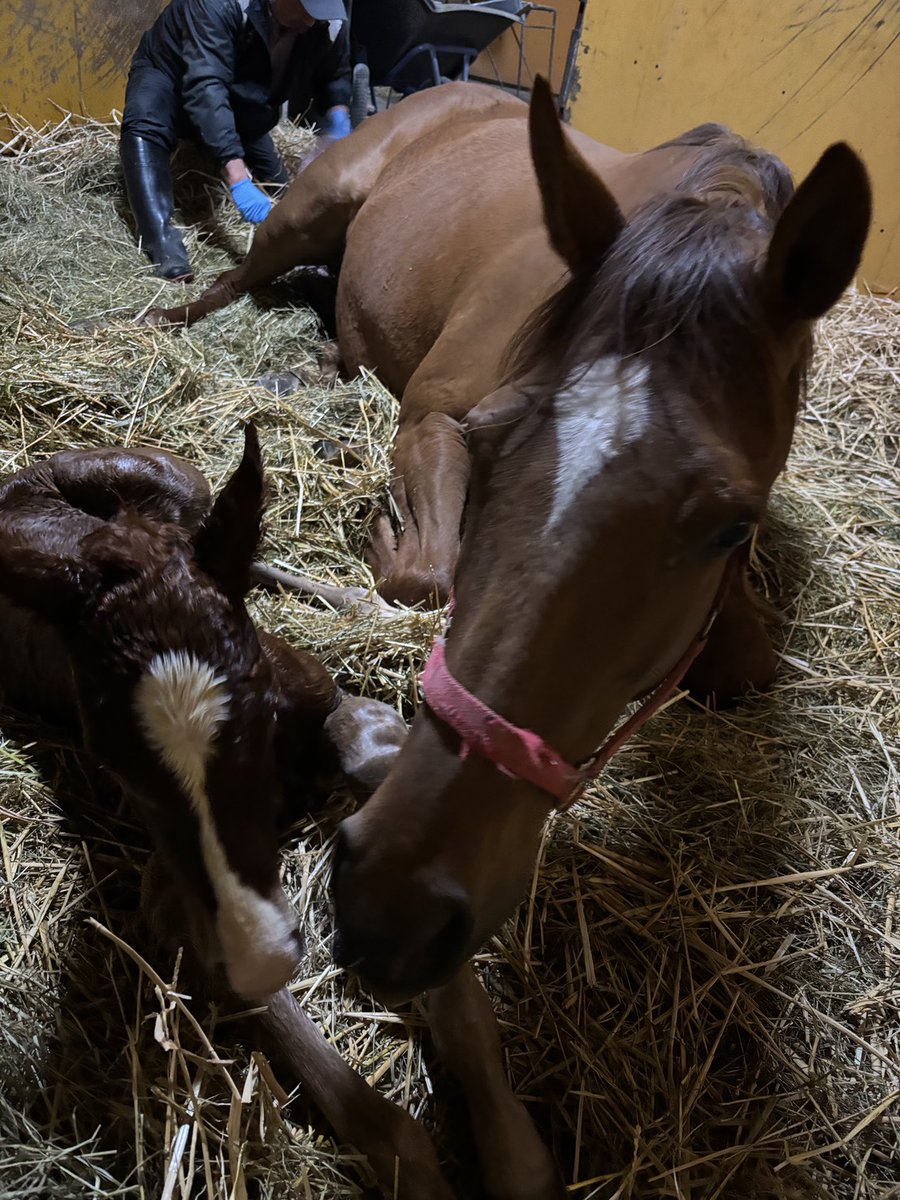 h.sugawara tweet media