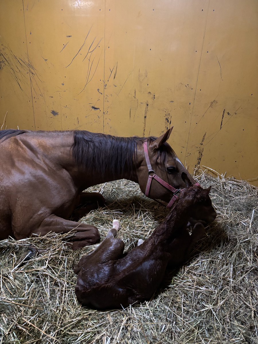 h.sugawara tweet media