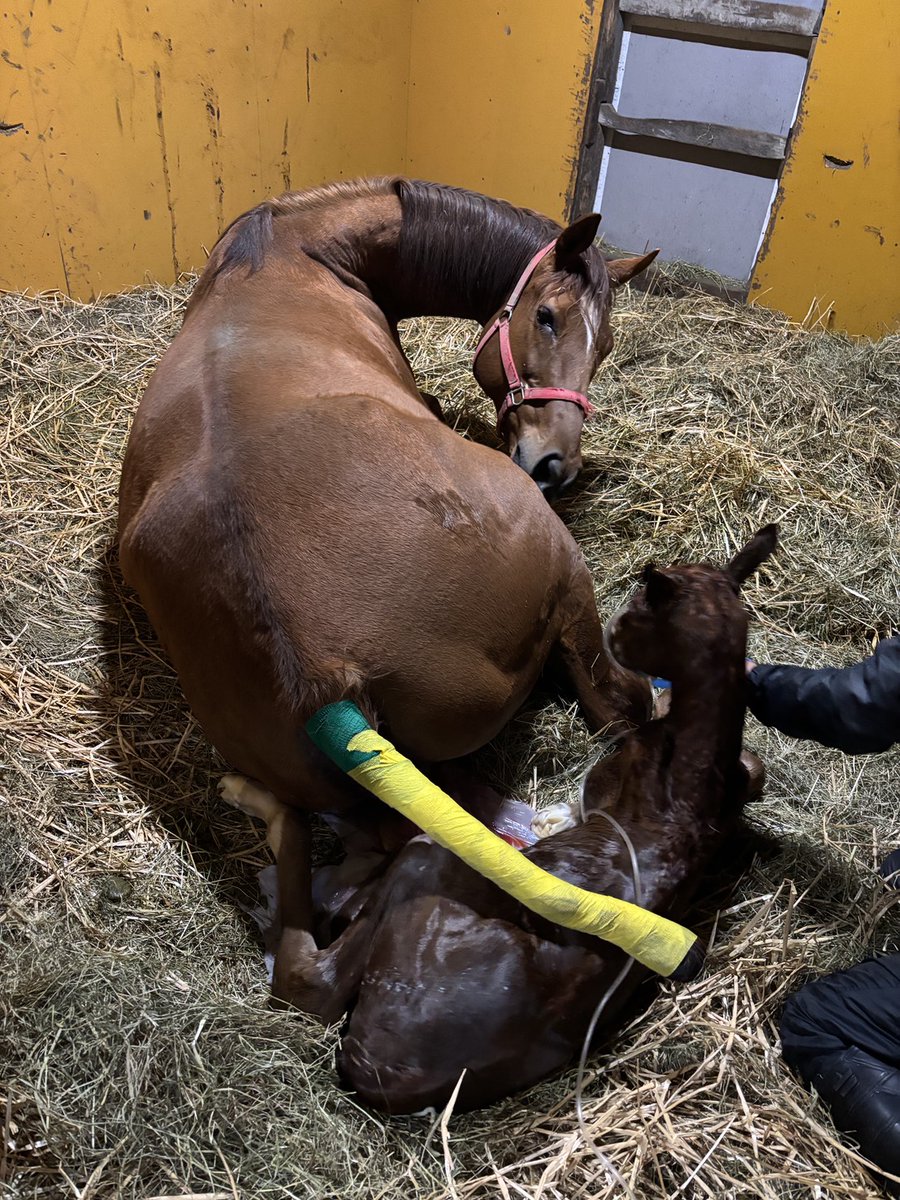 h.sugawara tweet media