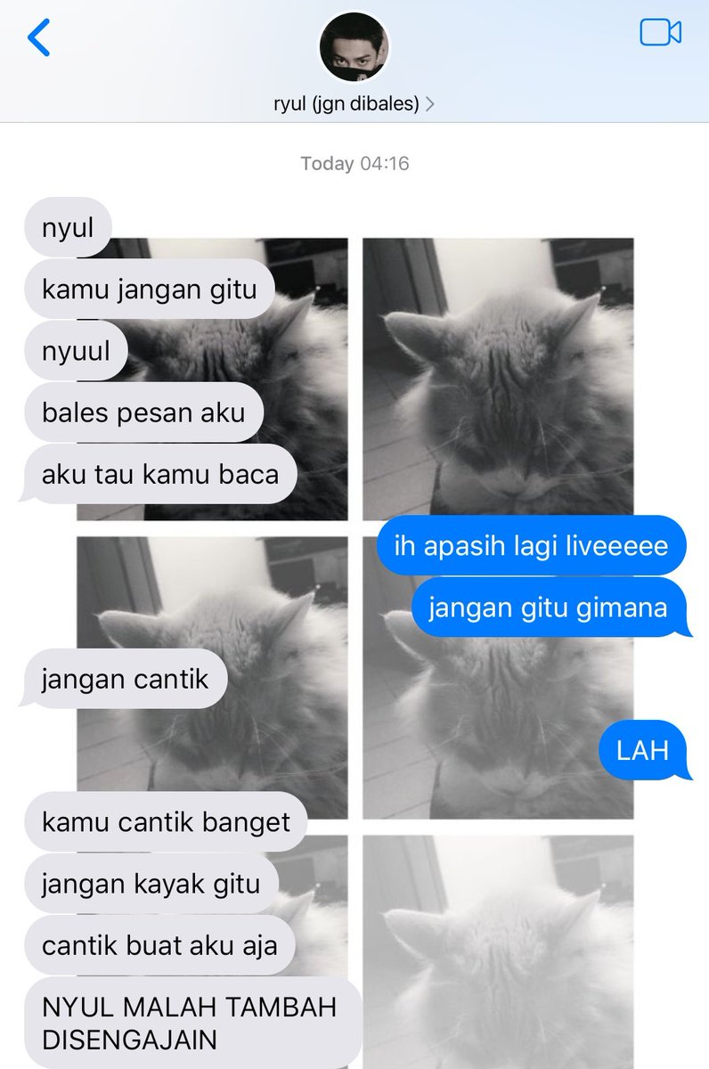 cally logout tweet media