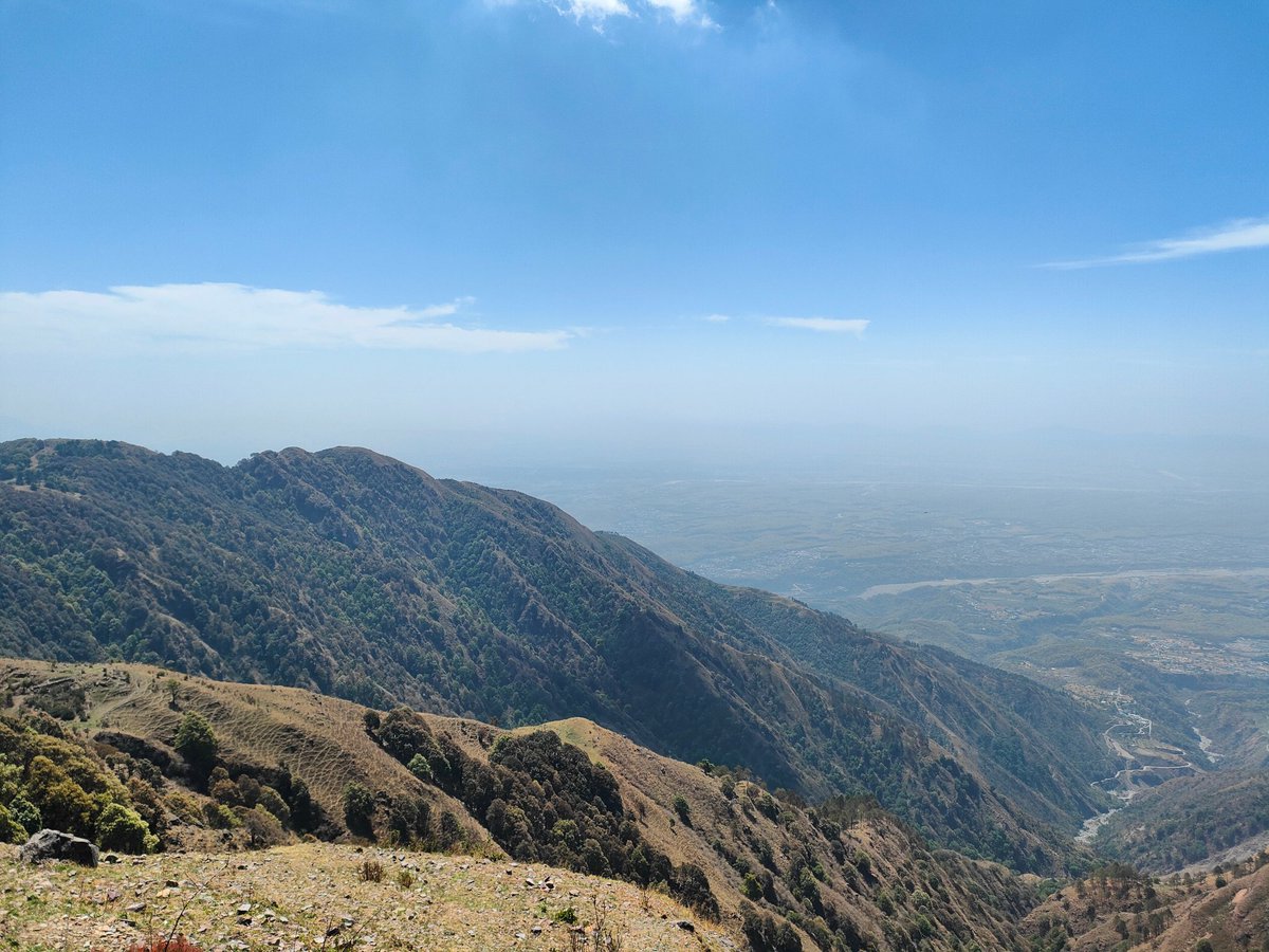 Broccoliii🥦 tweet media