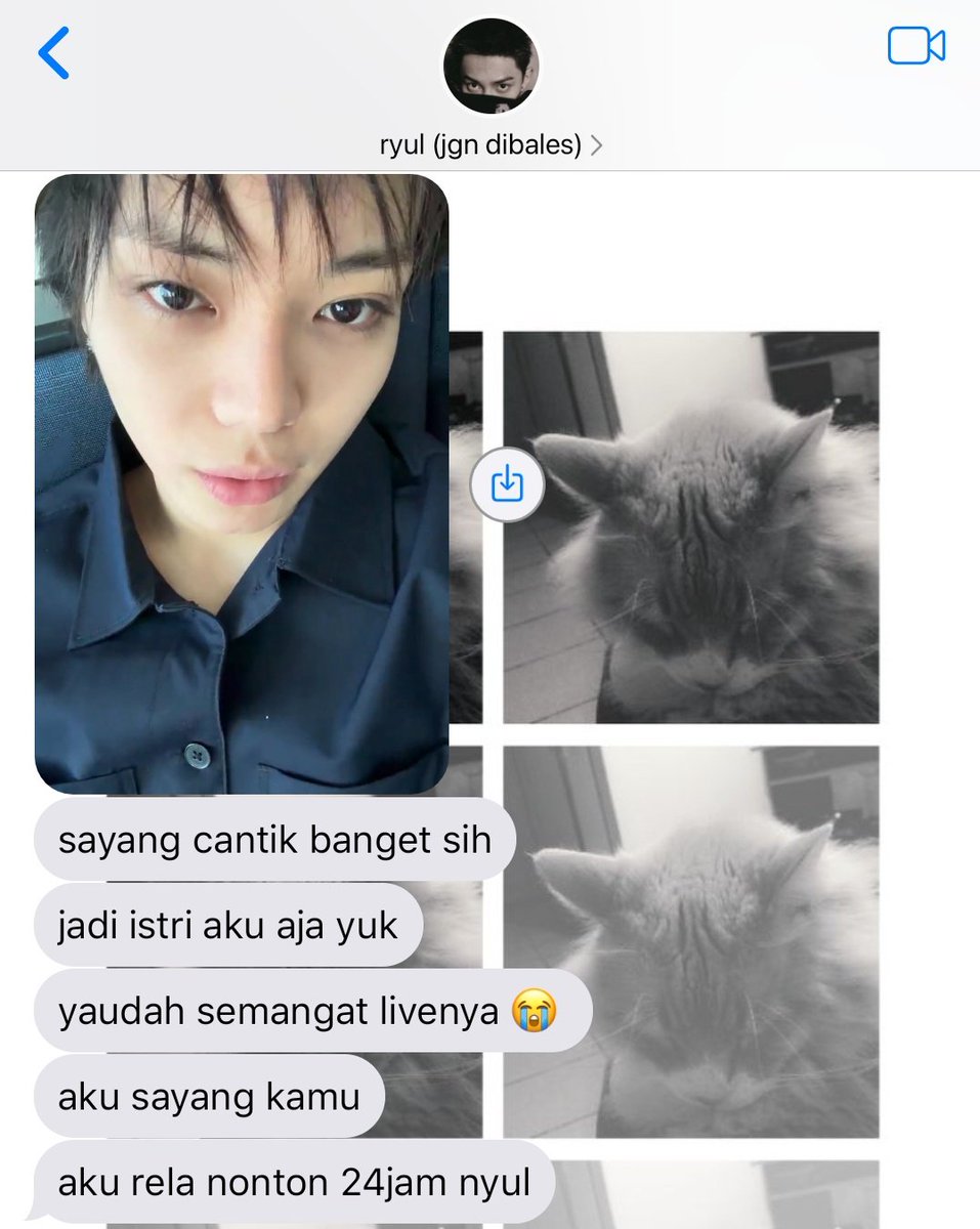 cally logout tweet media