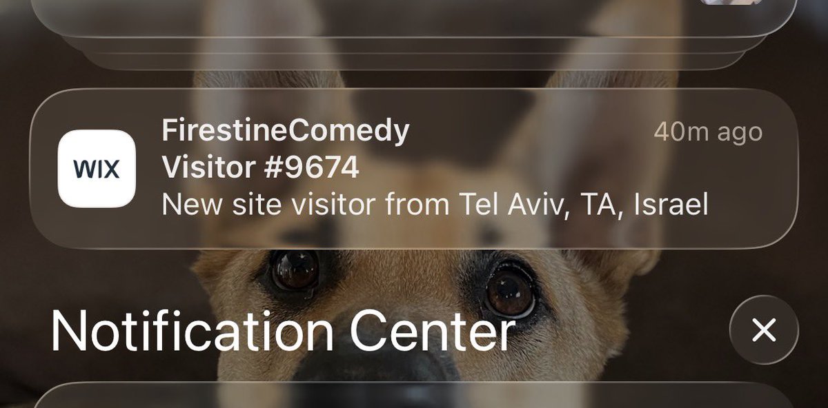 Not Josh Firestine tweet media