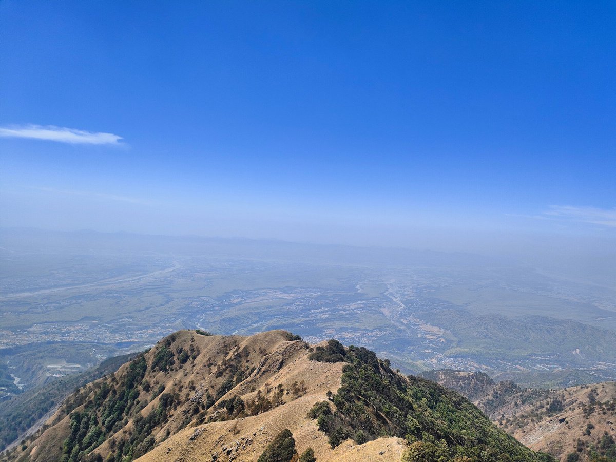 Broccoliii🥦 tweet media