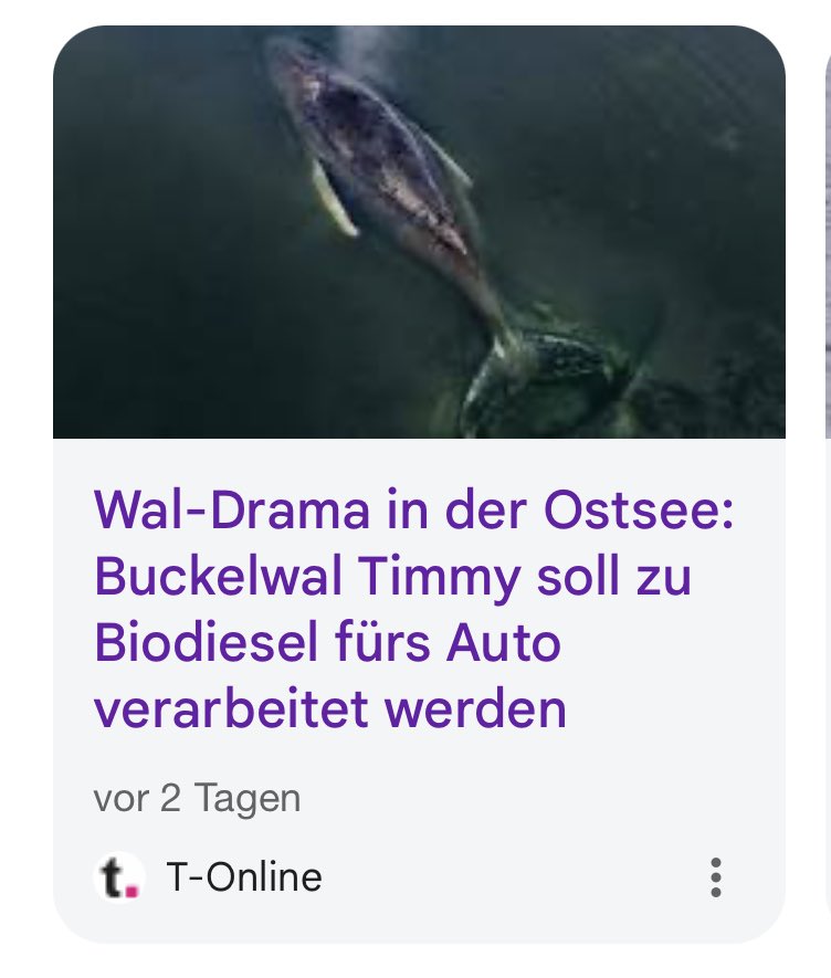 Fabian Pimminger tweet media