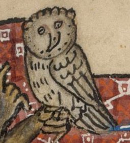 Vatanabeus tweet media