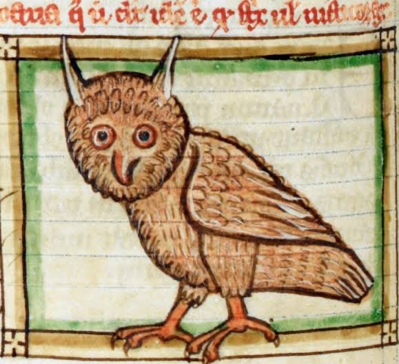 Vatanabeus tweet media