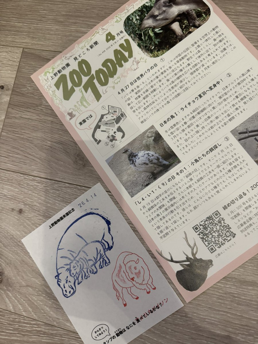 Miki Ave tweet media