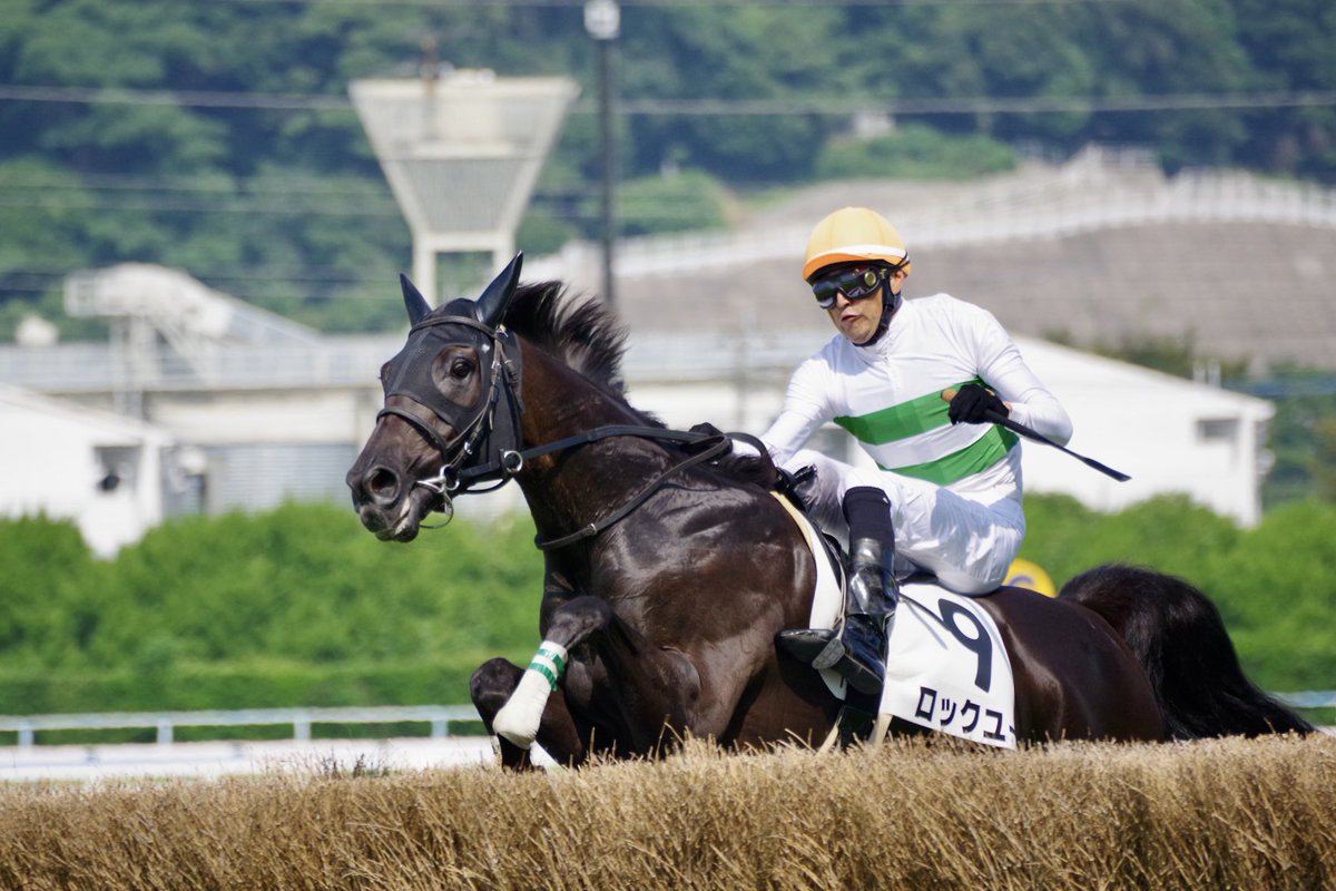 ナミノオト tweet media