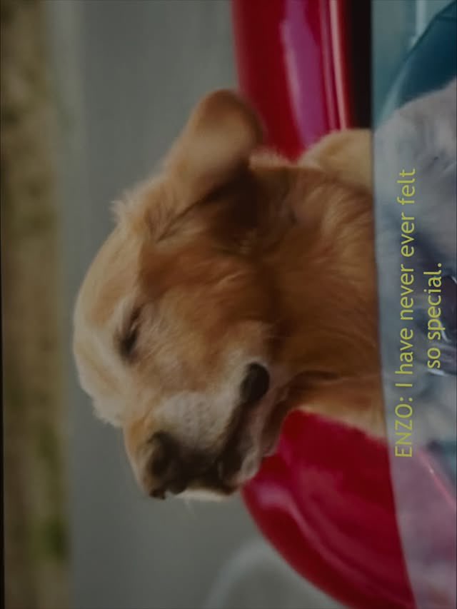 FREEN OFFICIAL tweet media