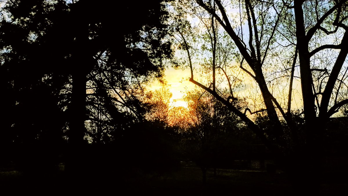 Mark Bennett tweet media